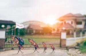 شركة مكافحة صراصير بمكة