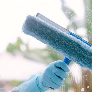 window cleaning 65