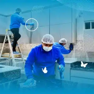 شركة تنظيف الطائف